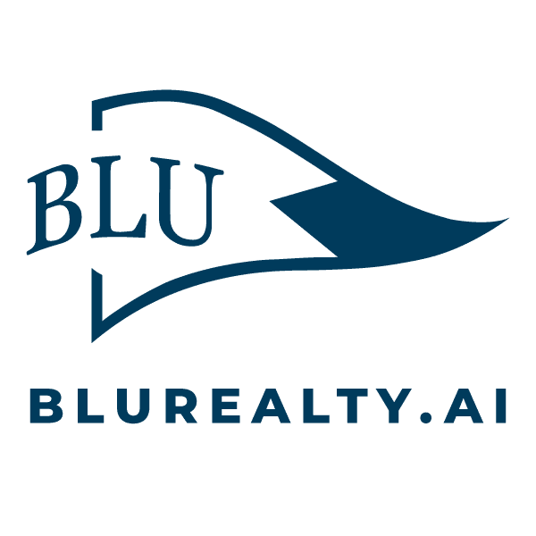 Blu Store